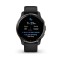 Smartwatch Garmin Venu 2 Plus Black/Slate