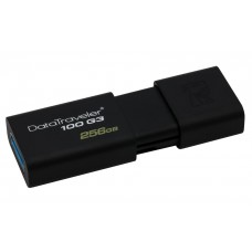 USB Flash Drive Kingston 256 GB